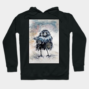 Crow after rain Hoodie